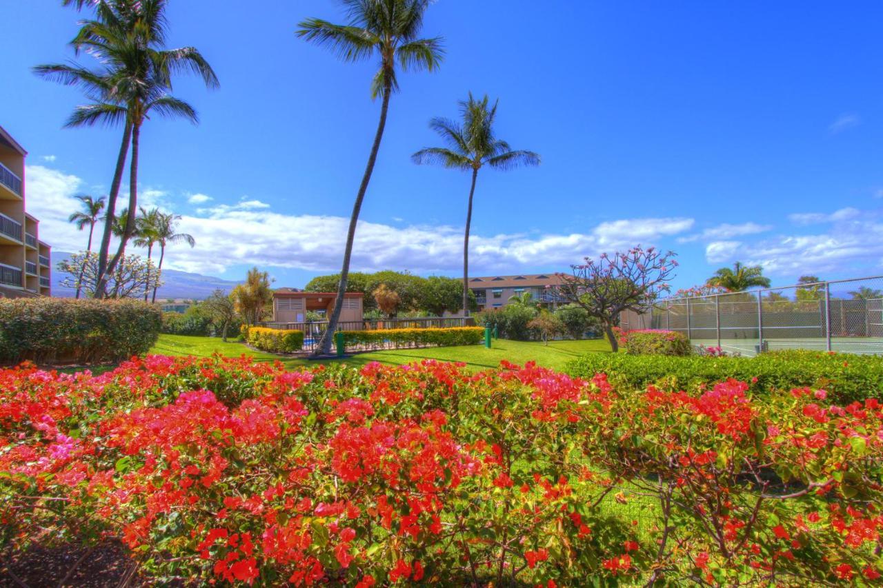 Ferienwohnung Maui Vista 3105 Kīhei Exterior foto