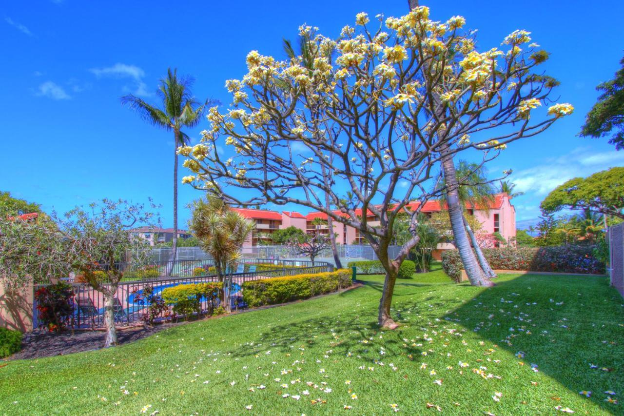 Ferienwohnung Maui Vista 3105 Kīhei Exterior foto