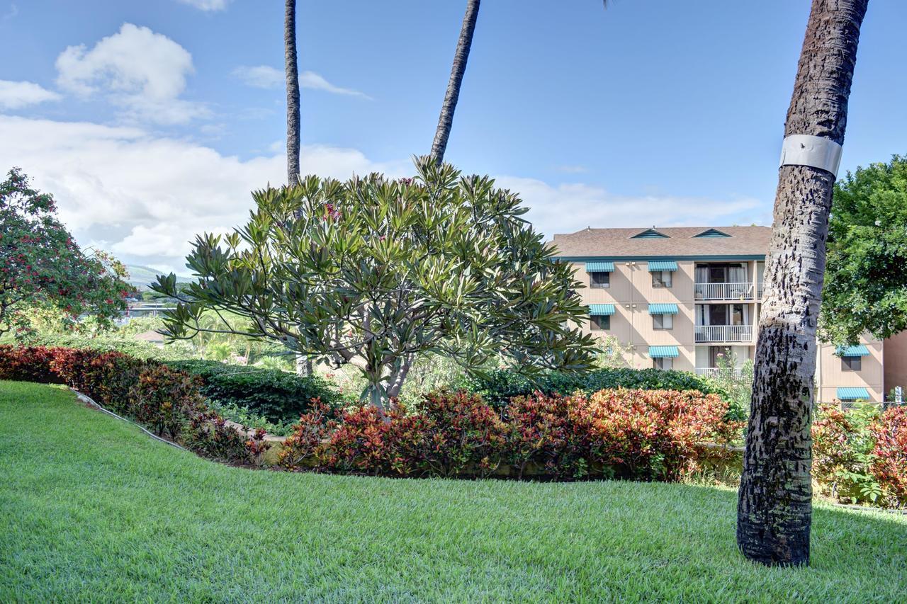 Ferienwohnung Maui Vista 3105 Kīhei Exterior foto